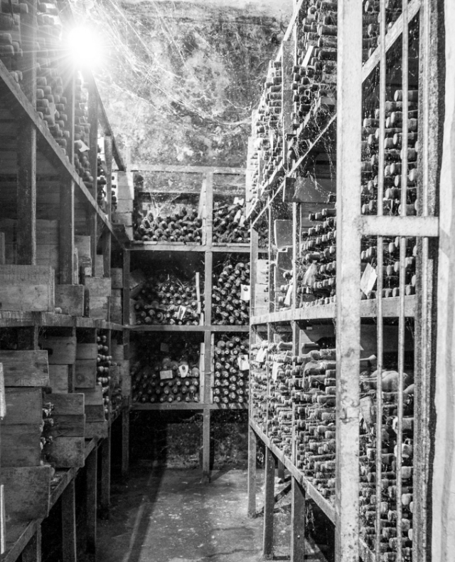 Terre piemontesi - Storia della cantina di vino